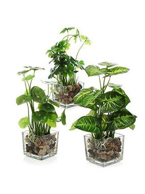 Artificial Plant Set Glass Cube Pots Faux Taro Lotus Clover Home Decor